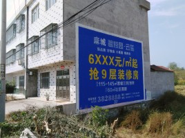 寻甸墙体广告质量分析