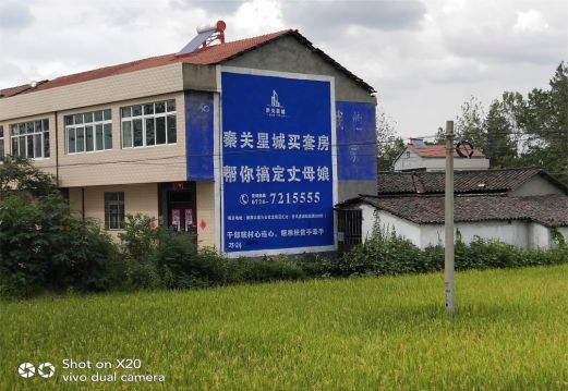 寻甸决定墙体广告价格的因素有哪些?