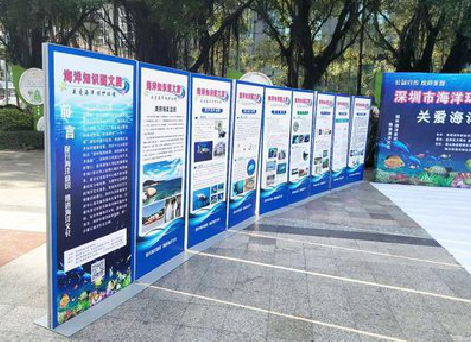 寻甸KT板的种类和知识。